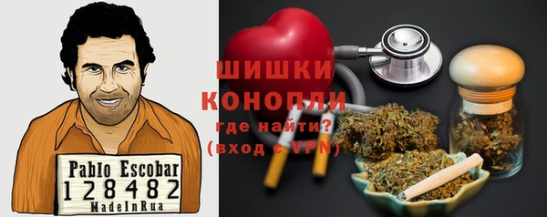 эйфоретик Бородино