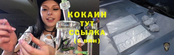 дурь Семилуки