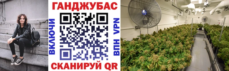 закладки Снежинск блэк спрут рабочий сайт Бошки Шишки семена